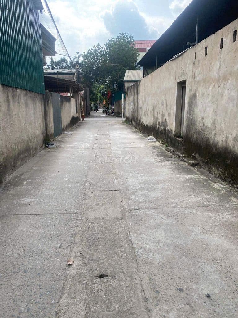 HÀNG HOT ĐÔNG MỸ THANH TRÌ: 100M2 - MT 5M - Ô TÔ CHẠY - GIÁ 6 TỶ - Ảnh 3