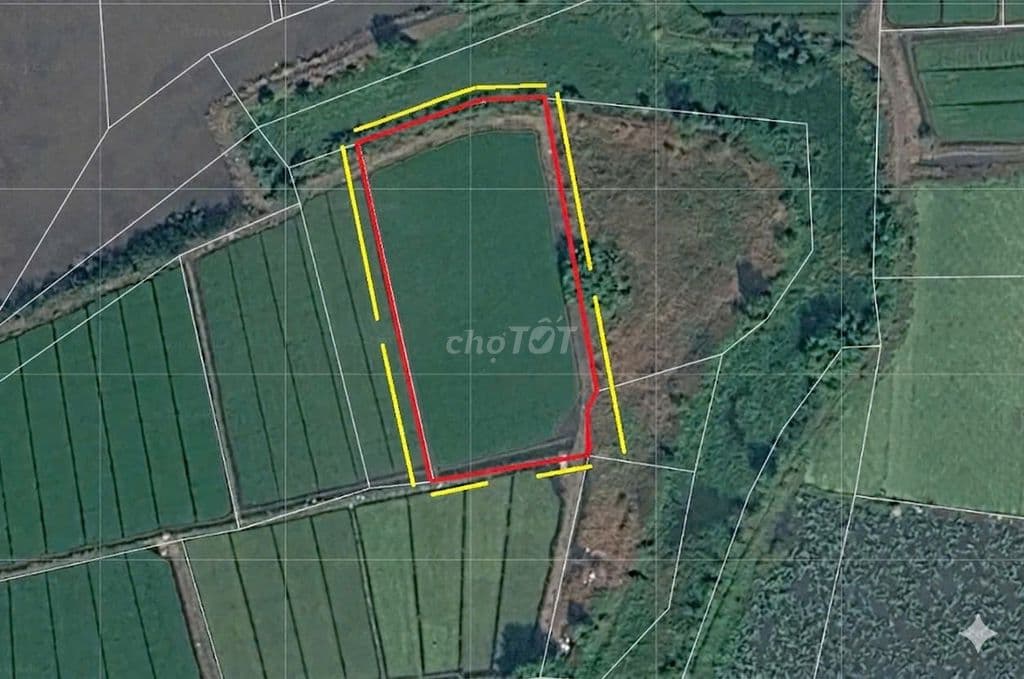 2556M2 ĐẤT THẠNH XUÂN HÓC MÔN CHỈ 11.74 TỶ TL GIÁ TỐT MỜI ĐẦU TƯ - Ảnh 3