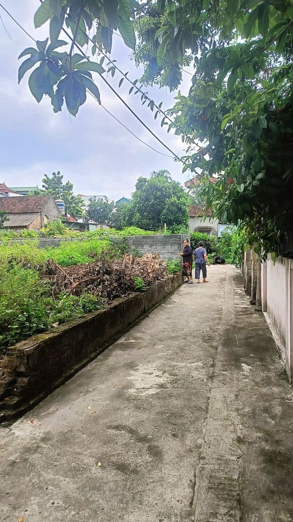 Bán đất Khánh Hà, Thường Tín - 47m2 - ô tô đỗ cửa - Ảnh 3