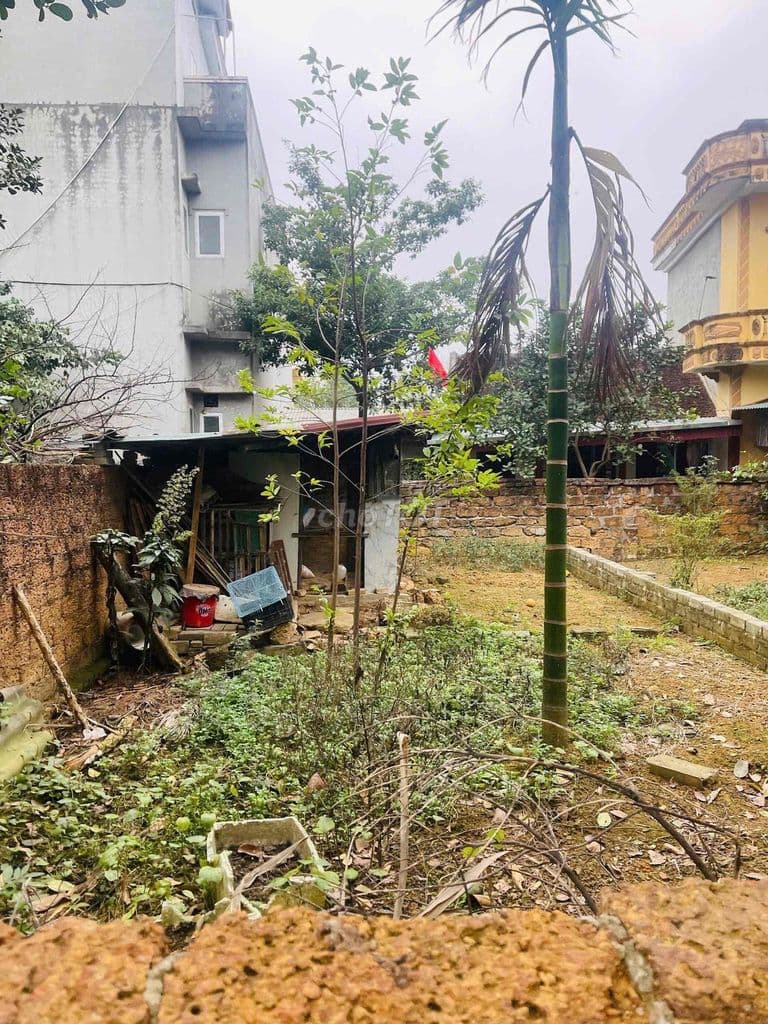 Bán đất dân - Ảnh 3