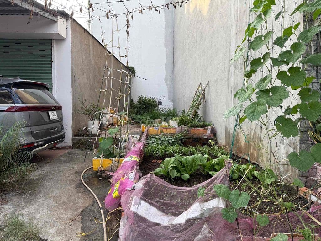 BÁN LÔ THỔ CƯ 71,7m2 mặt tiền đường số 10 Hiệp Bình Phước - Ảnh 3