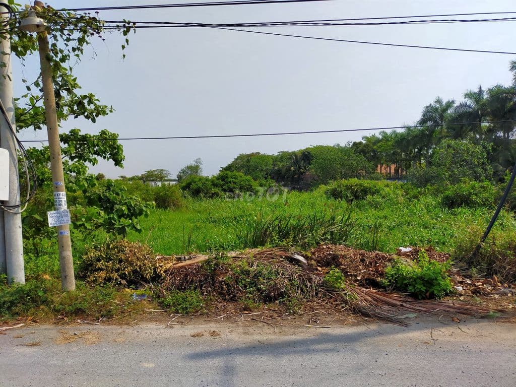 lô đất vườn giáp sông 4.650m2 đường 5, P. Long Phước HCM Giá 17 tr/m2 - Ảnh 3