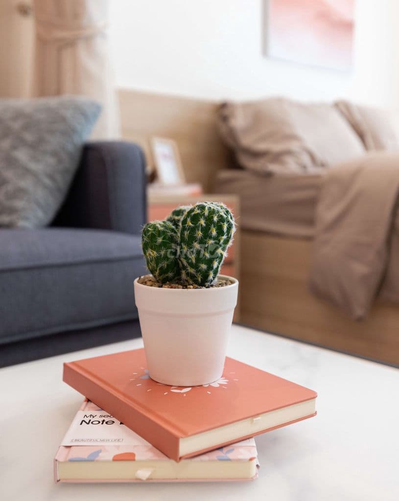 Giá siêu tốt studio Vinhomes Grand Park 1tỷ850 sẵn sổ full nội thất - Ảnh 3