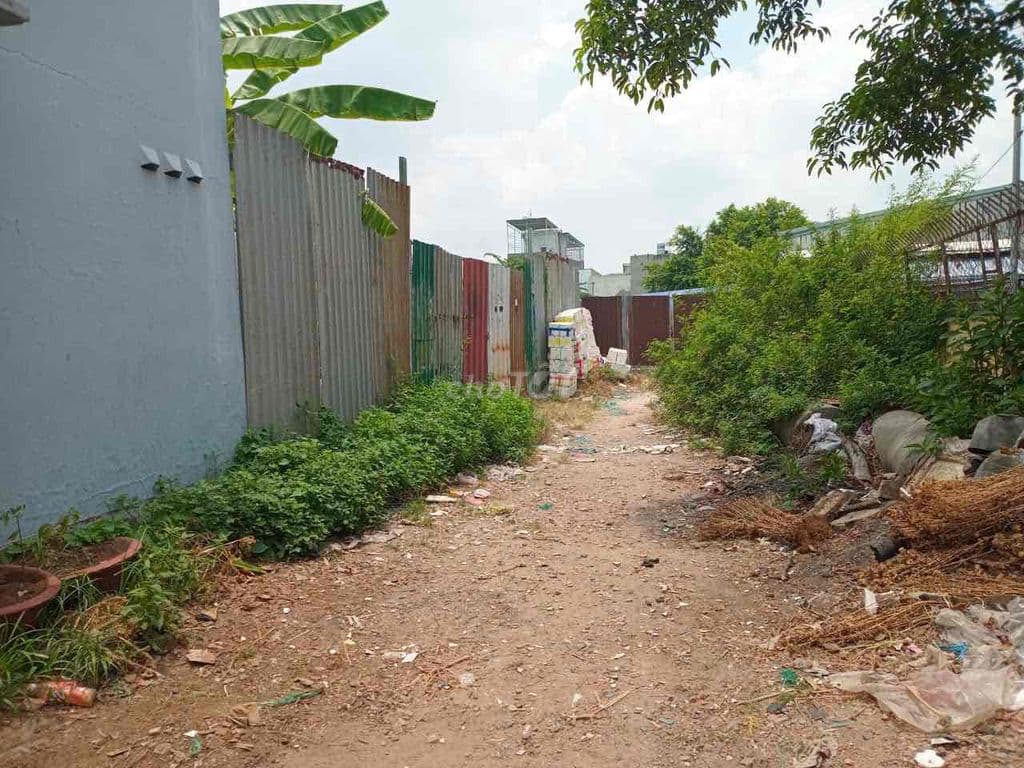 Đất chia được 3 nền. Đất lên thổ cư được 100 % - Ảnh 2