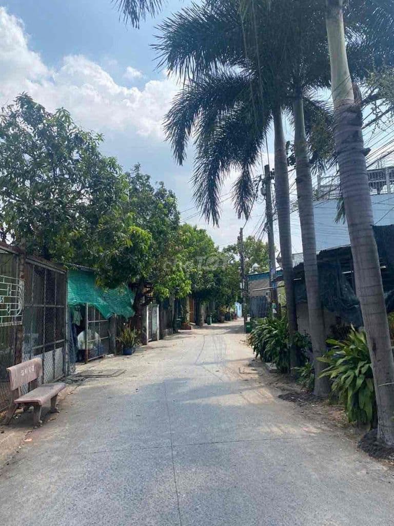 5x31 hẻm Nguyễn Văn Bứa - Ảnh 3