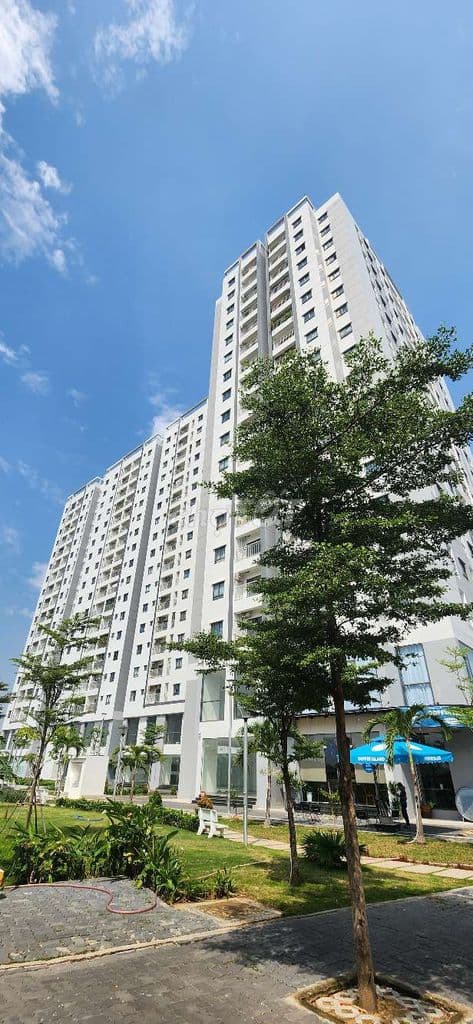 Căn hộ Tham Lương giá cực tốt 2-3pn chỉ từ 3.5tỷ - Ảnh 2