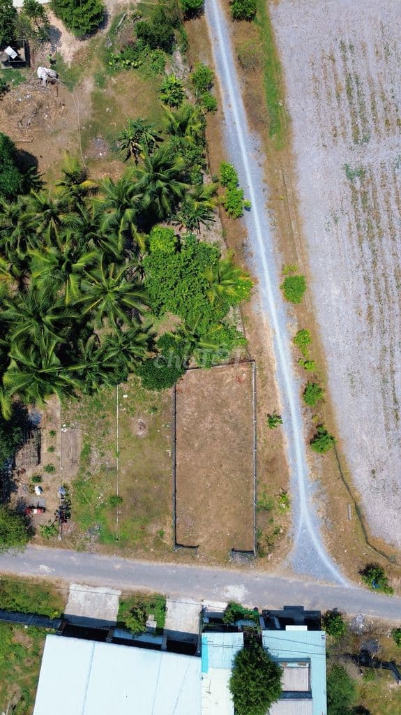 BÁN ĐẤT ĐẸP DT 166M2 GIÁ NGỘP 860TR NGAY TRUNG LẬP HẠ CỦ CHI