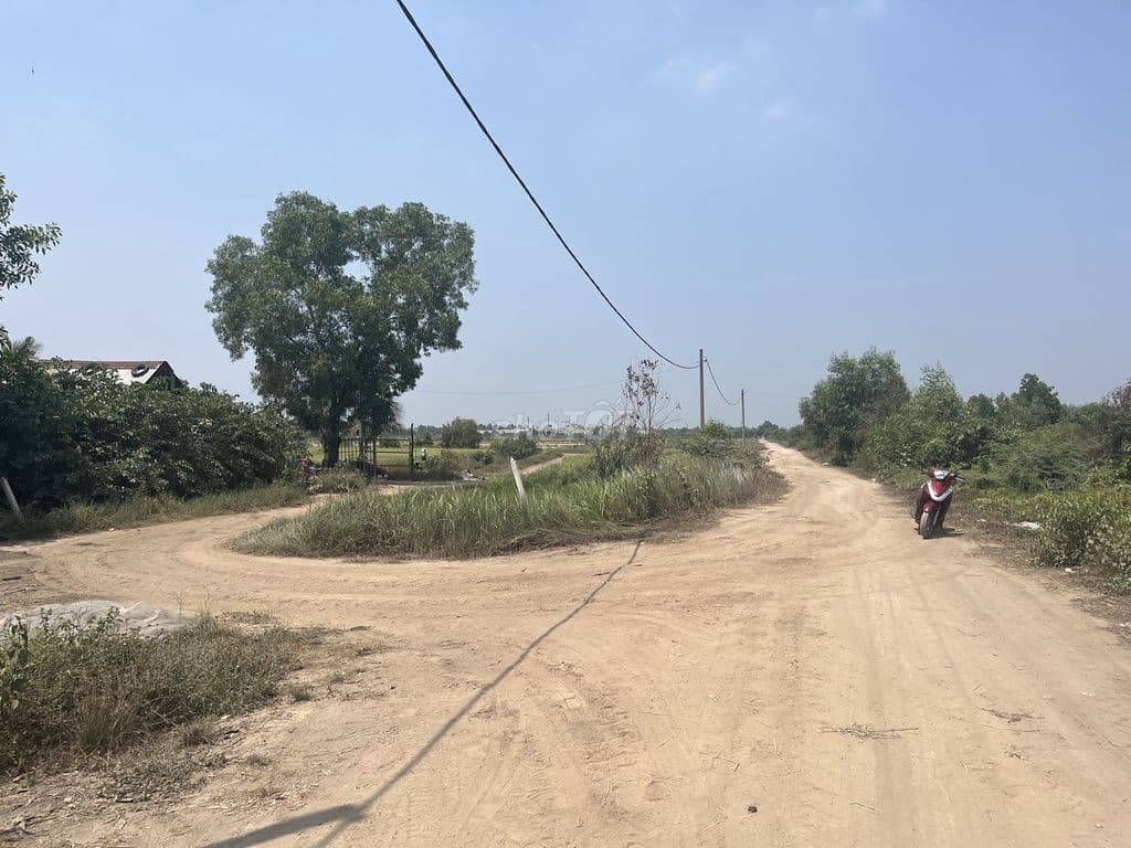 Bán 1,3 ha đất lúa mặt tiền kênh 8, xã Tân An Hội, huyện Củ Chi - Ảnh 2