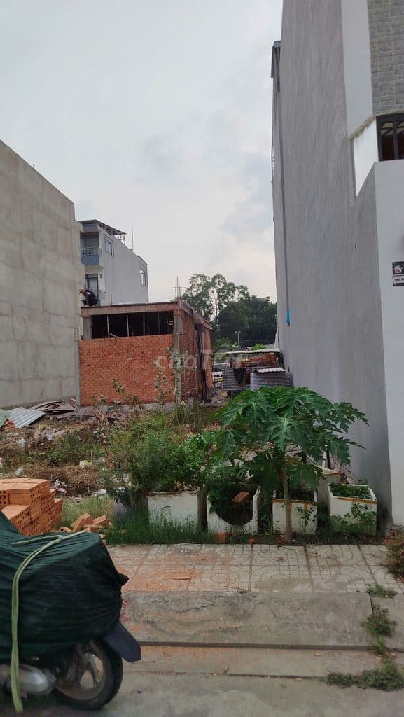 CHÍNH CHỦ BÁN ĐẤT THỦ ĐỨC 55M2 SÁT KCN LINH TRUNG II - Ảnh 3