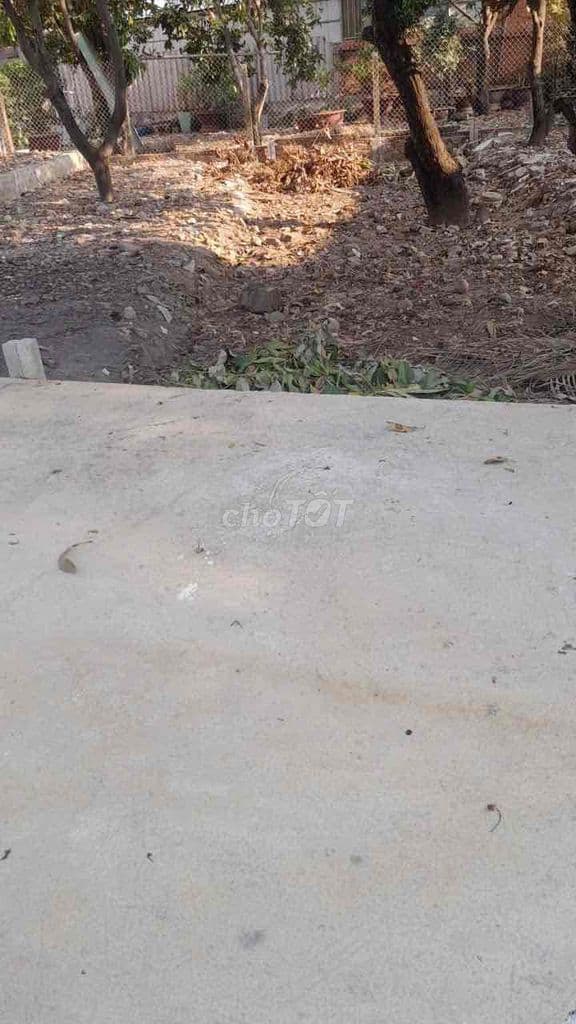 BÁN LÔ ĐẤT HEM XE HƠI ĐƯỜNG LÊ VĂN THỊNH NGAY CHỢ CÂY XOÀI - Ảnh 2
