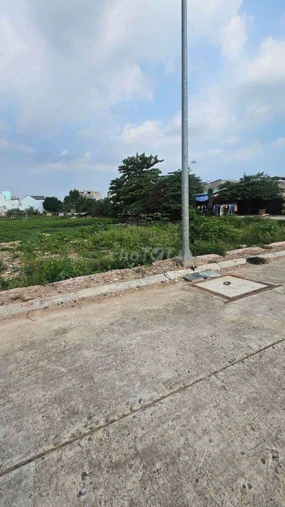 🏡 Bán đất phân lô Bình Tân 56m2 – SHR - Ngay Nguyễn Thị Tú, Giá Tốt - Ảnh 2