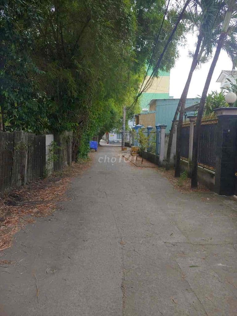 Nhà hẻm xe hơi tránh nhau, khu dân cư yên tĩnh - Ảnh 2