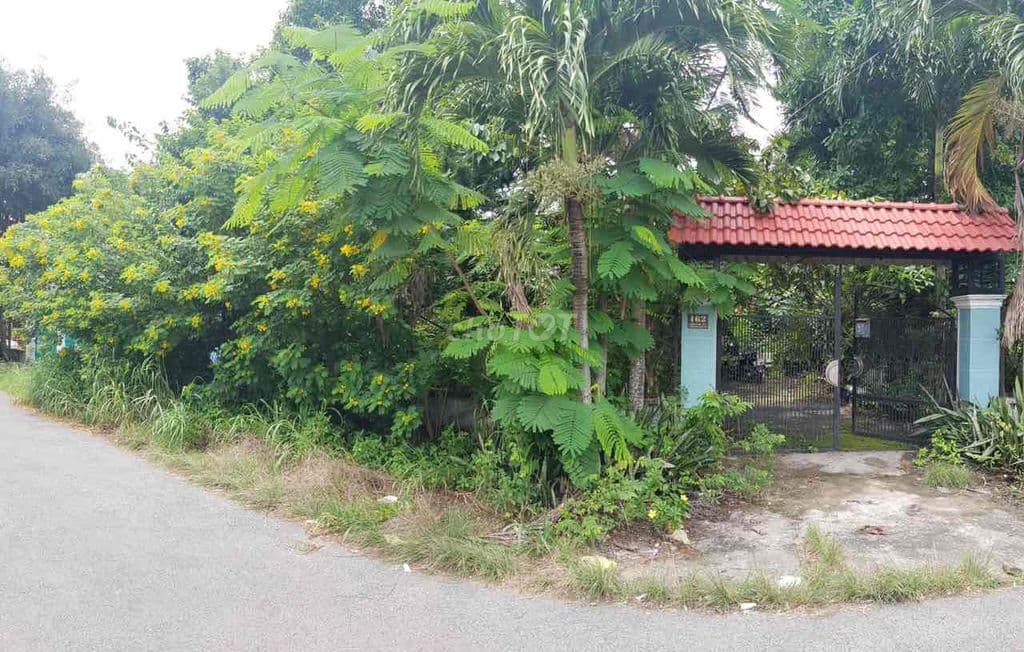 Bán gấp 1.122 m2 đất xã Phạm Văn Cội, Củ Chi - Tặng nhà cấp 4 - Giá tố - Ảnh 2