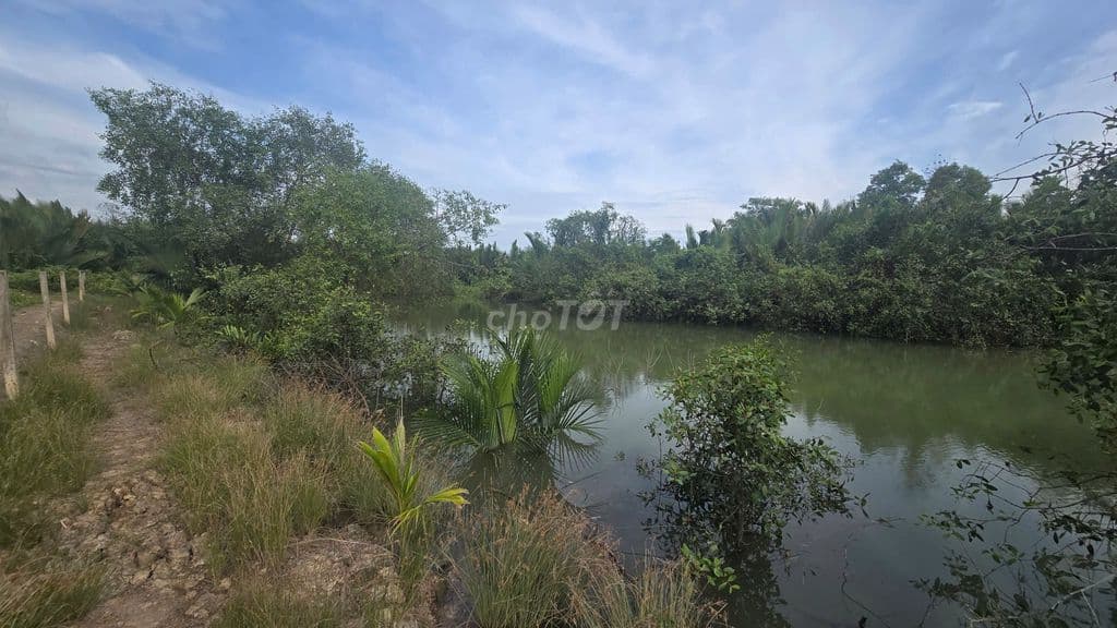 Bán Đất Sinh Thái hơn 1.600m² MT. Nhựa có 510m² Thổ Cư gần cầu Cần Giờ - Ảnh 2