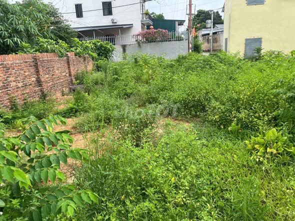 bán đất 80m2 thôn yêm đông xuân