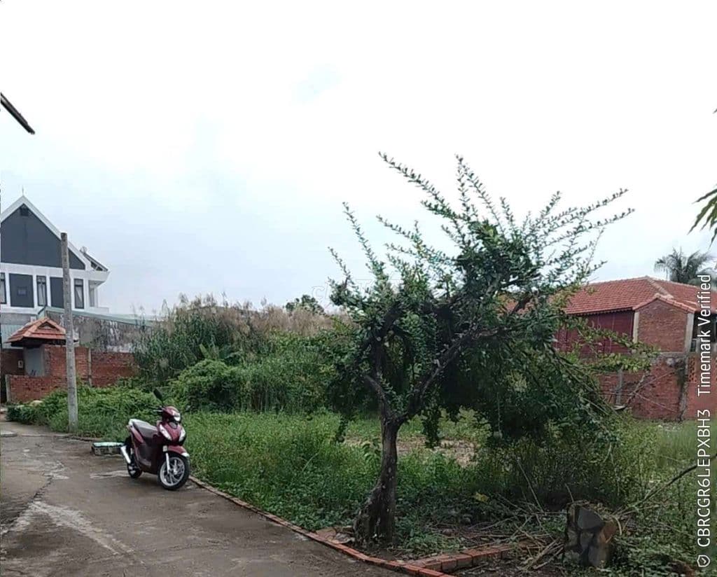 🤣 BÁN ĐẤT TRỊNH NHƯ KHUÊ – GIÁ MỀM HƠN NGƯỜI YÊU CŨ