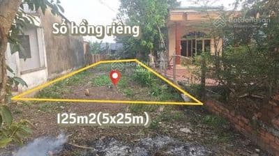 Bán đất 125m² giá 800tr đ.Cây Trôm Mỹ Khánh,Củ Chi. Sổ hồng riêng - Ảnh 3