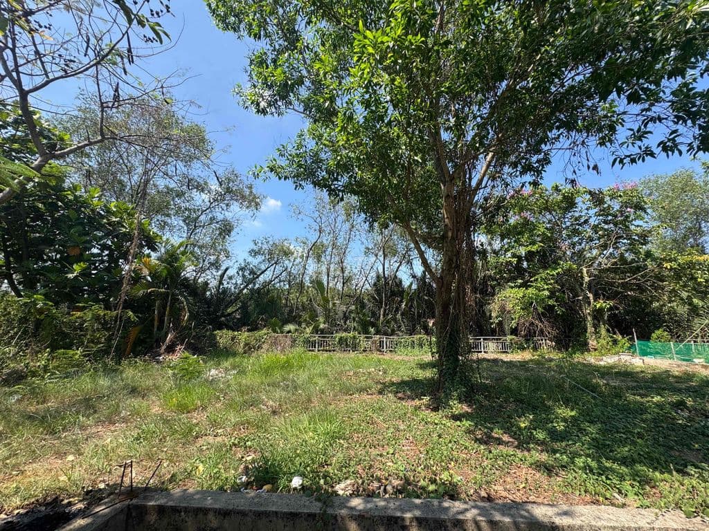 Lô Đất Giáp Sông Ngay Đông Tăng Long 1613 Sổ Riêng Không QH - Ảnh 3