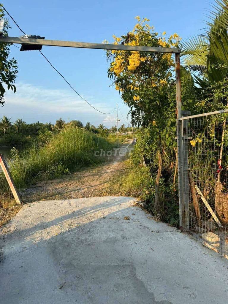 Nhà vườn - Ảnh 2