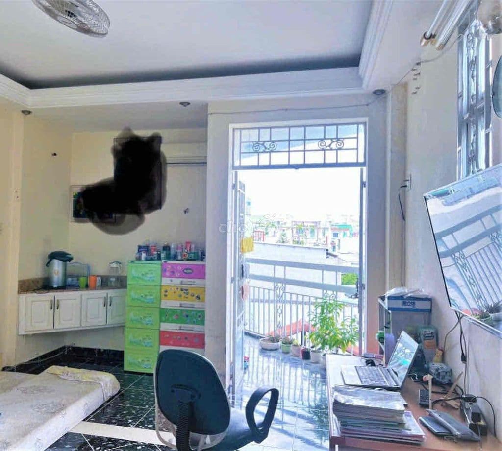 chính chủ đăng bán - Ảnh 2