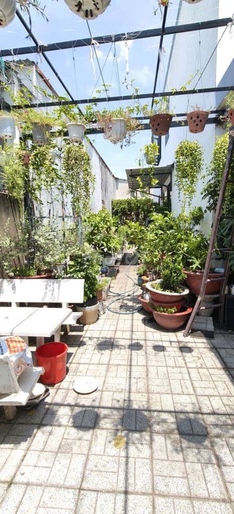 Nhà 2/Liên Xã Thị Trấn-Thới Tam Thôn-Hóc Môn.Dt 8x20,7~166m2~2 tấm~6ty - Ảnh 3