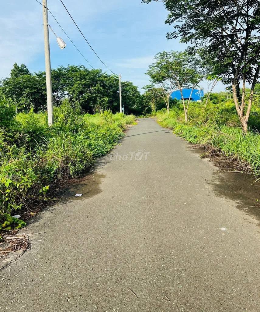 bán đất 5x23 P02 công thành tân phước giá rẻ - Ảnh 3