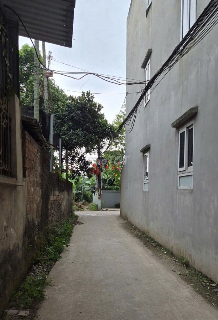 ĐẤT THỔ CƯ 60M2 NGÕ THÔNG Ô TÔ NGAY TRƯỜNG ĐHSP THỂ THAO CHƯƠNG MỸ HN - Ảnh 2