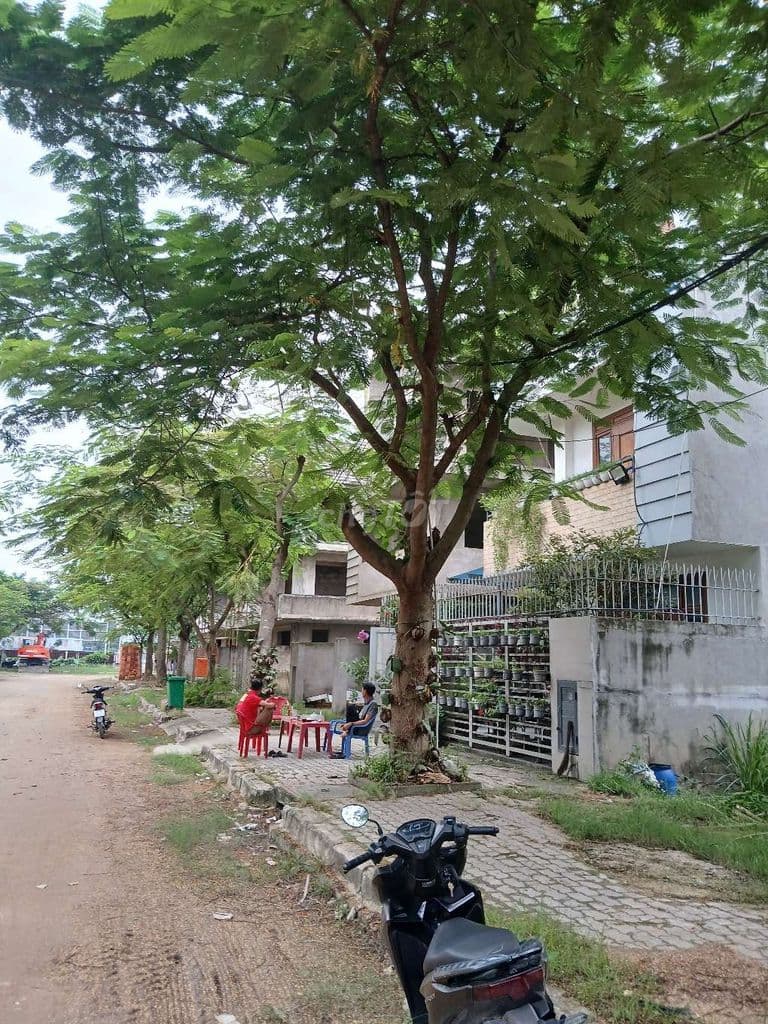 Bán gấp nền biệt thự xây dựng ngay,tại Bà Điểm, Hóc Môn, TPHCM - Ảnh 3