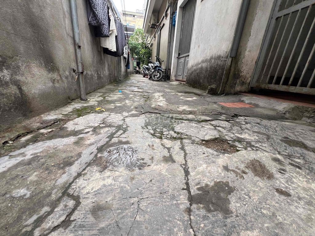 BÁN ĐẤT PHÚC ĐỒNG LONG BIÊN - NGÕ THÔNG Ô TÔ ĐỖ CỔNG - Ảnh 2