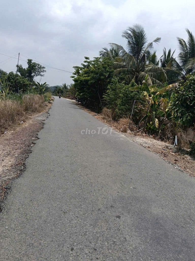 100m2 giá 1tỷ2 ngay đường Trung Lập giao Tỉnh Lộ 7 xã Thái Mỹ sổ riêng - Ảnh 2