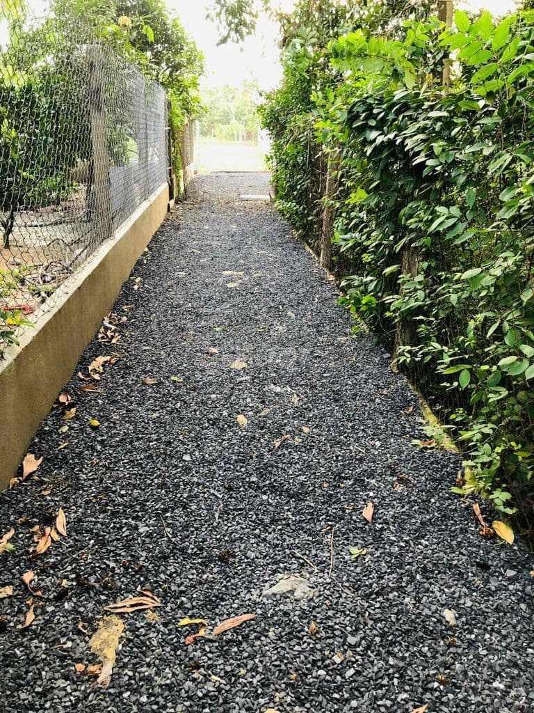Chính chủ cần bán 1184,6 m2 đất nông nghiệp tại Phước Thạnh - Ảnh 3