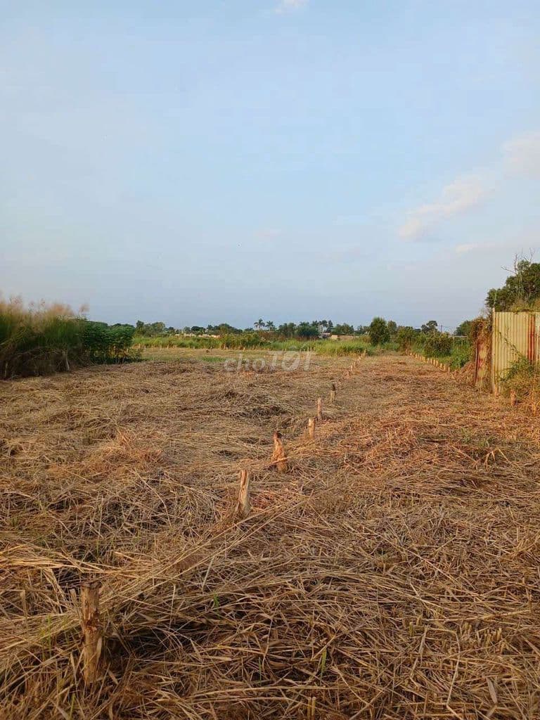 Bán lô đất đẹp DT: 4m X 11m = 44m2 đường 4m thông - Ảnh 2