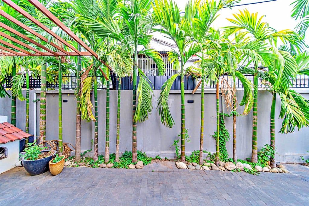 Biệt Thự Siêu Đẹp 4 Tầng DT 286m2 Giáp Phạm Văn Đồng, Gần Gigamall - Ảnh 2