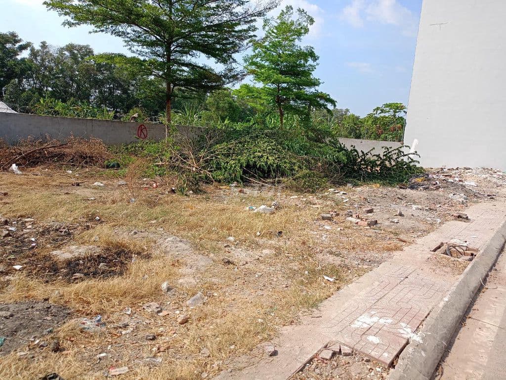 Bán nhanh lô đất, THỔ CƯ, 62m2, SHR, Quận Bình Tân - Ảnh 2