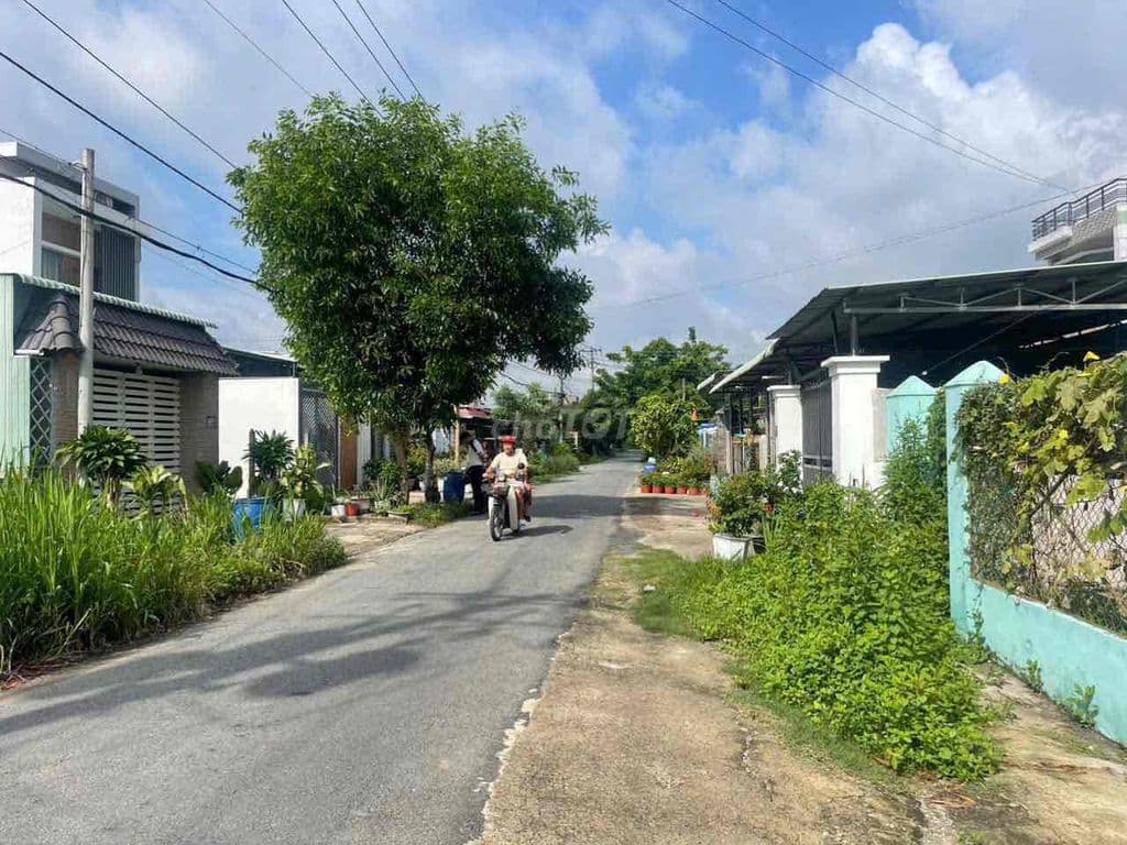BÁN ĐẤT MT NHỰA TÂN THÔNG HỘI CỦ CHI 252m2 thổ cư giá 780 triệu - Ảnh 3