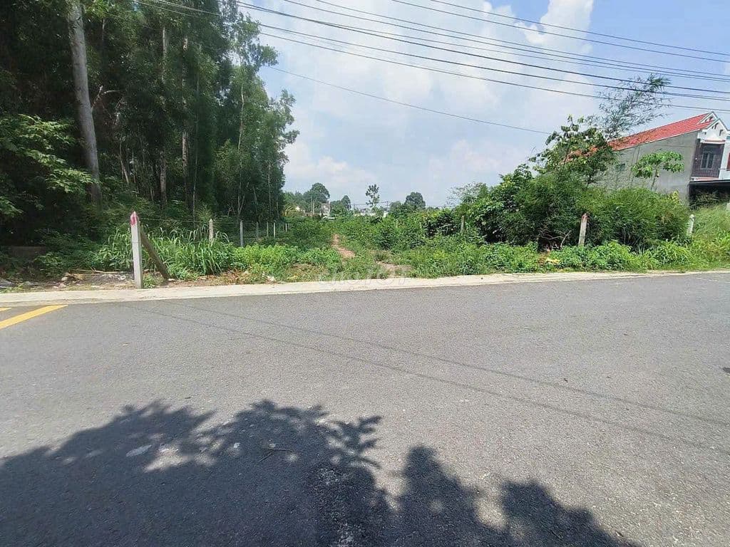 Bán đất 396m2 Phú An, TP.HCM, vị trí đẹp - Ảnh 3