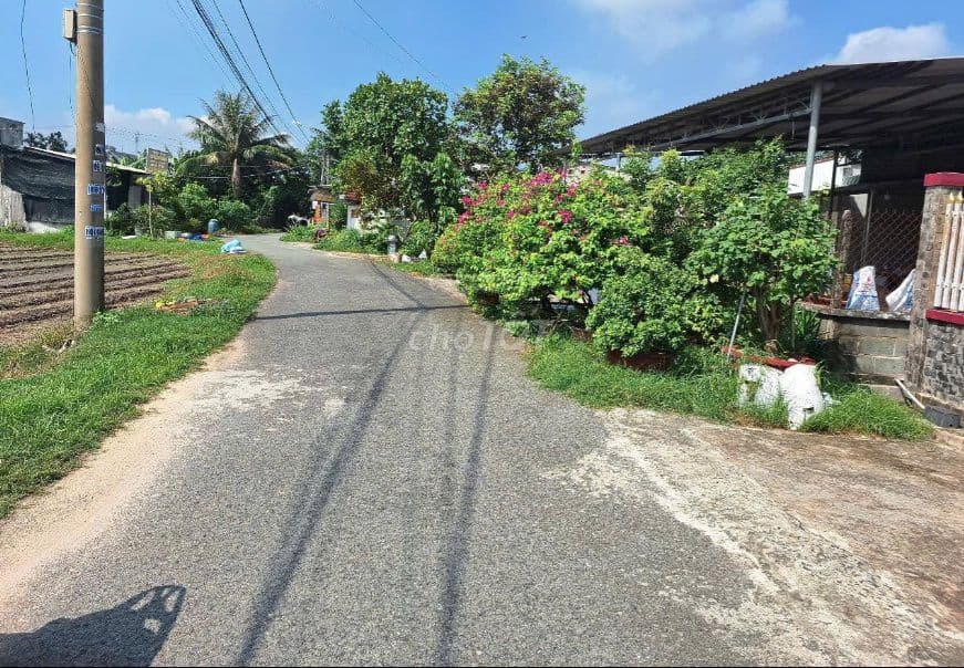 CẮT LỖ SÂU ĐẤT TÂN THÔNG HỘI CỦ CHI GIÁ CHỈ 1 TỶ KHÔNG MUA TIẾC !!! - Ảnh 2