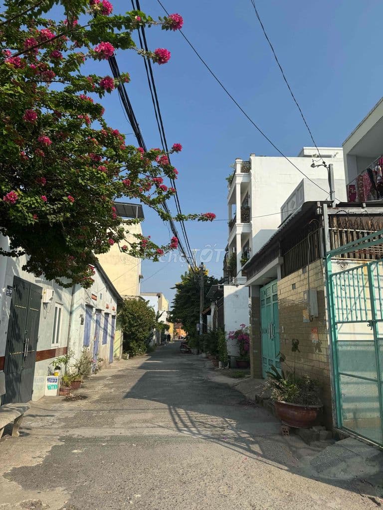 BÁN 8 LÔ ĐẤT SHR MỖI LÔ-KHU VIP TÂN XUÂN HÓC MÔN-GIÁP QUẬN 12 - Ảnh 3