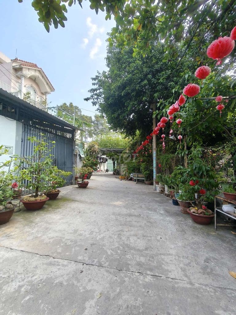 Bán nhà 2 tầng đường Man Thiện 76m2 có 4 PN giá 6 tỷ 8. - Ảnh 2