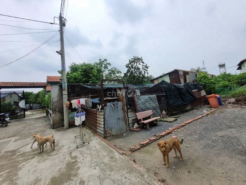 Bán gấp lô đất thổ cư 5x22 ngay ngã 3 Giồng, Xuân Thới Thượng, Hóc Môn - Ảnh 3