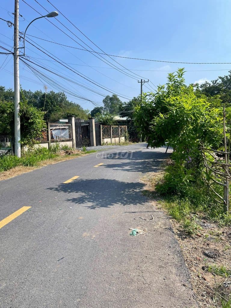 136m2 SHR gần Chợ sáng Tân Phú Trung Củ Chi, thổ cư xây dựng tự do. - Ảnh 3