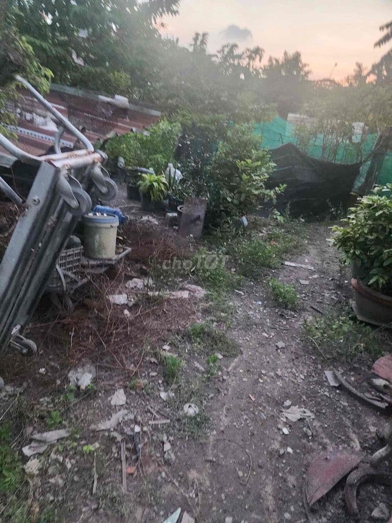 BÁN GẤP ĐẤT THỔ CƯ HÒA PHÚ - CỦ CHI – 133M2 – SỔ RIÊNG – GIÁ CỰC RẺ 2 - Ảnh 3