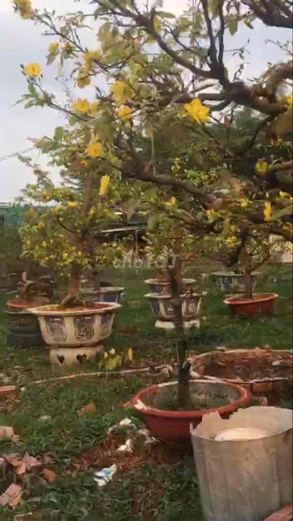 cần bán đất xã xuân thượng huyện hóc môn Chợ Bà Điểm - Ảnh 3