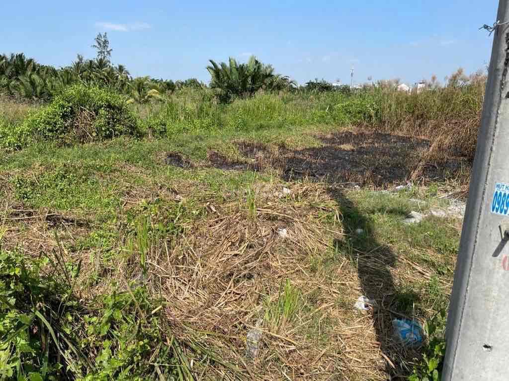 Lô Đất 150m2 full thổ (6,5x23 ) 5tỷ4 Rẻ Nhất Võ Văn Hát Long Trường - Ảnh 3