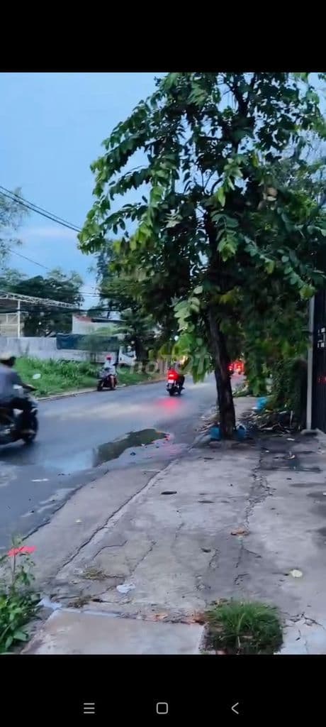 BÁN ĐẤT TẶNG NHÀ CẤP 4 MẶT TIỀN XUÂN THỚI THƯỢNG 6 DT6X15M GIÁ 5.5 TỶ - Ảnh 3