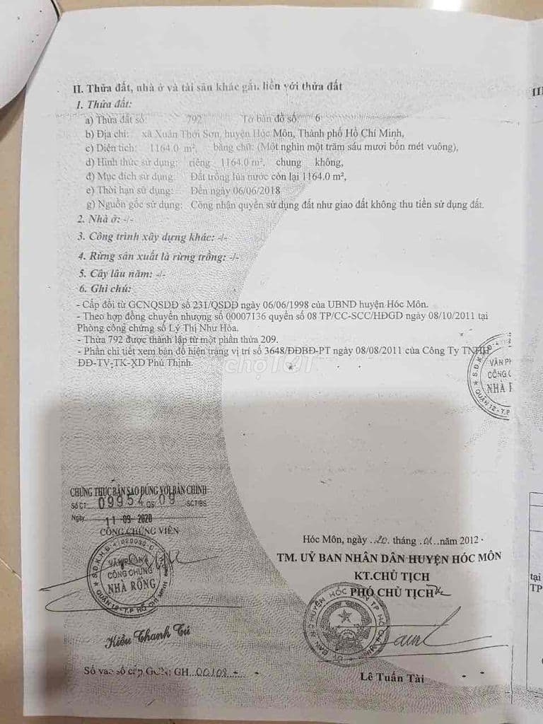 BÁN GẤP ĐẤT XUÂN THỚI SƠN - HÓC MÔN - Ảnh 2