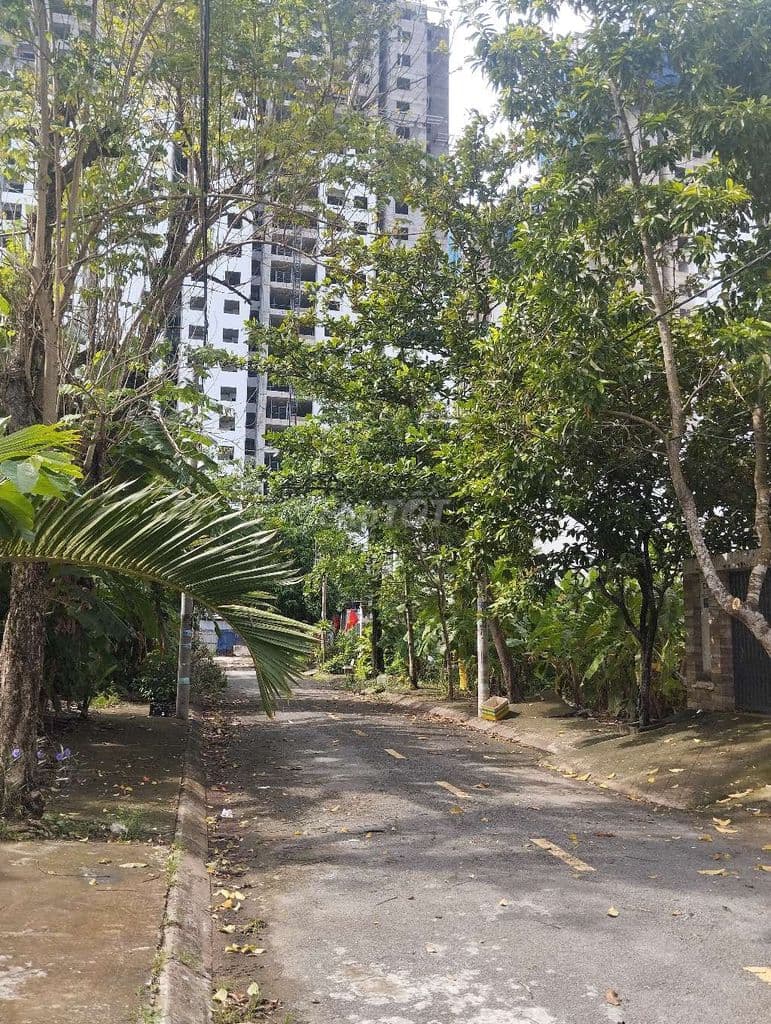 Đất Hướng Đông KDC Phú Lợi p7q8 - Ảnh 3