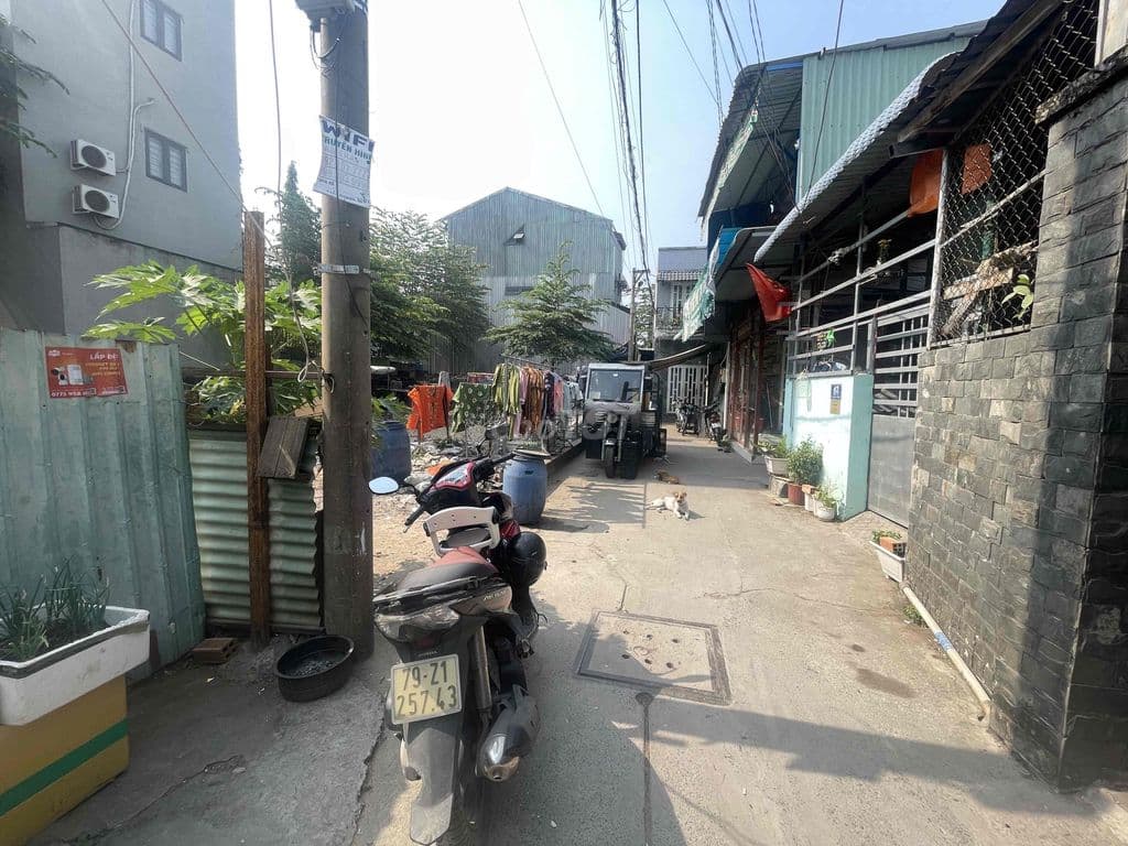 Lô đất giá rẻ đường số 13, P. Tam Bình, TP Thủ đức - Ảnh 2