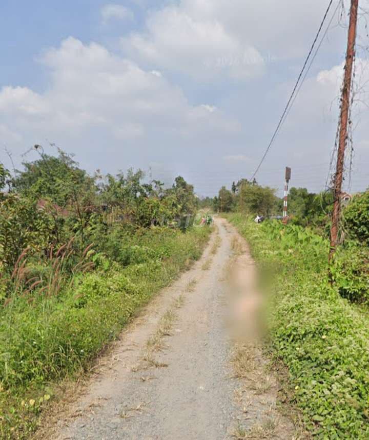 Chính chủ gửi bán 6.600m² đất nông nghiệp - Đường 7M -Giá chỉ 4.2tr/m² - Ảnh 2