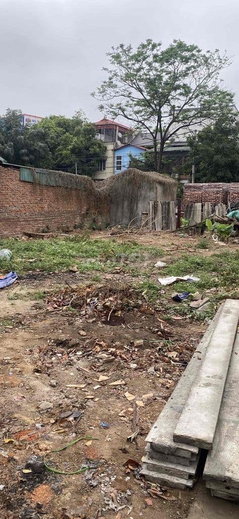 🔥 CHỈ 2x TỶ – SỞ HỮU NGAY ĐẤT ĐẸP SÁT CHỢ GIÁ TRUNG, QUANG MINH 🔥 - Ảnh 2